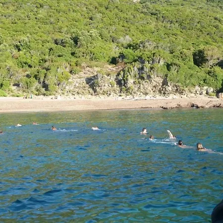 Campingplatz Zecamping 2 Piscine Animaux Acceptes