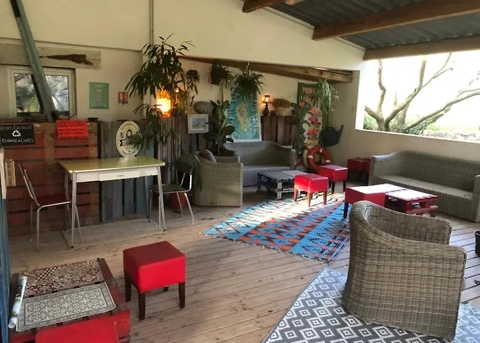 Zecamping 2 Piscine Animaux Acceptes Camping