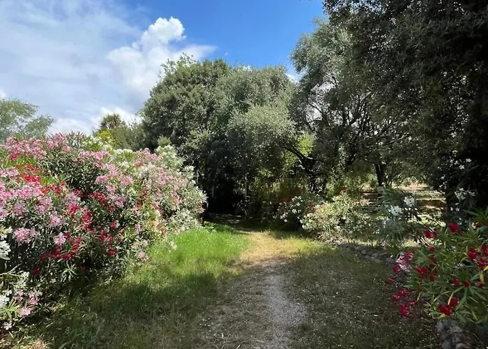 Camping Zecamping 2 Piscine Animaux Acceptes Galeria (Corsica)