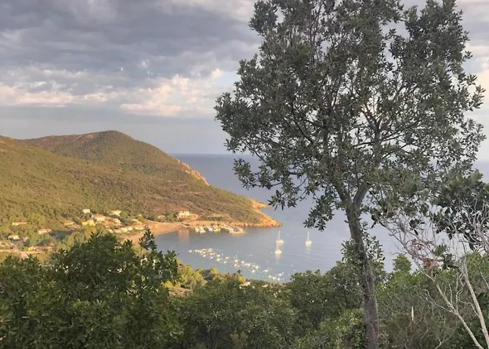 Camping Zecamping 2 Piscine Animaux Acceptes Galeria (Corsica)