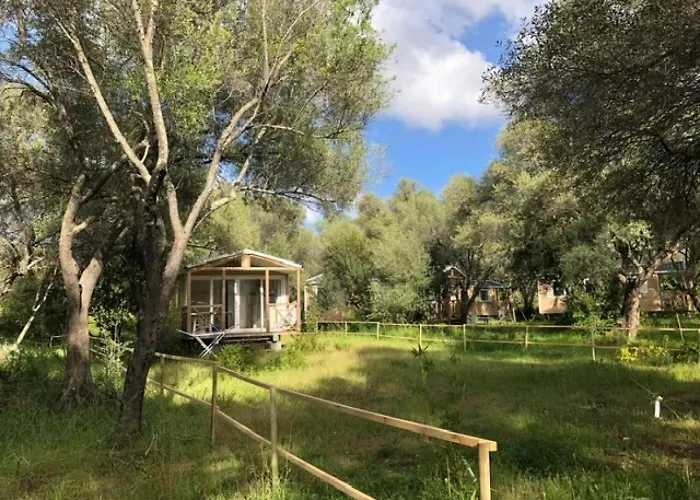 Zecamping 2 Piscine Animaux Acceptes 2* Galeria (Corsica)