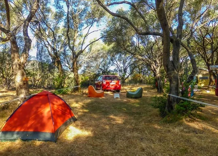 Camping Zecamping 2 Piscine Animaux Acceptes 2*