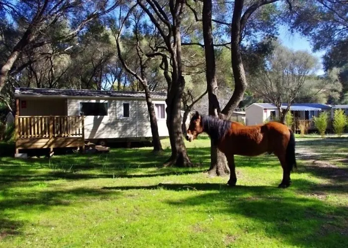 Zecamping 2 Piscine Animaux Acceptes Camping Galeria (Corsica)