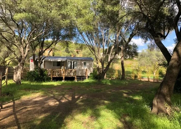 Camping Zecamping 2 Piscine Animaux Acceptes